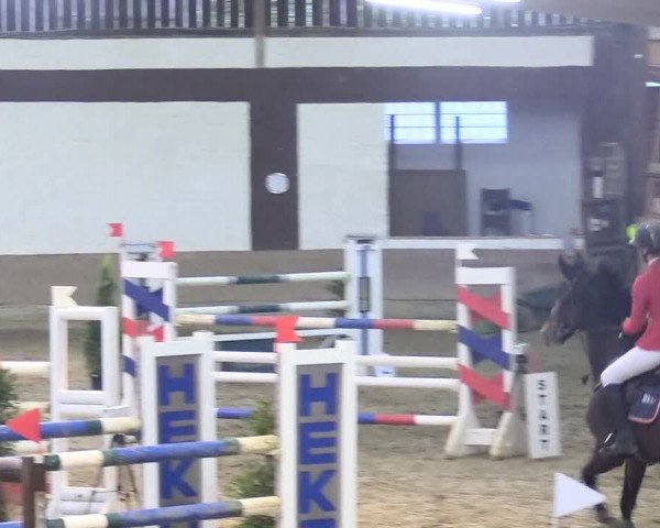 Reitturnier Vlotho-Valdorf 2018