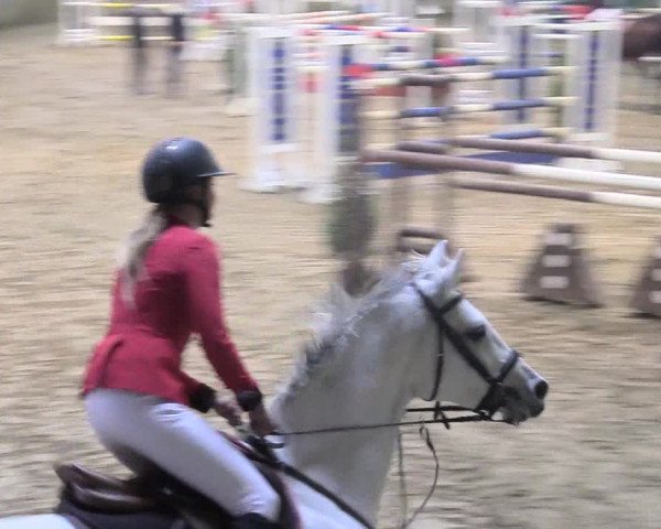 Reitturnier Vlotho-Valdorf 2018