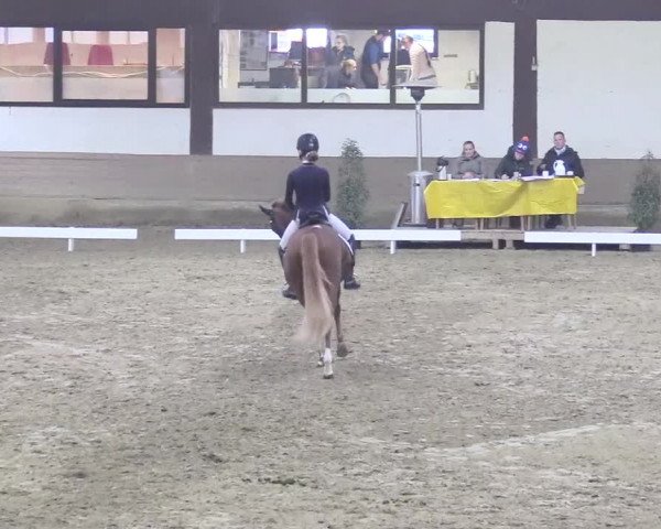 Reitturnier Vlotho-Valdorf 2018