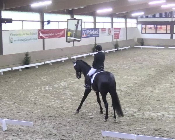 Reitturnier Vlotho-Valdorf 2018