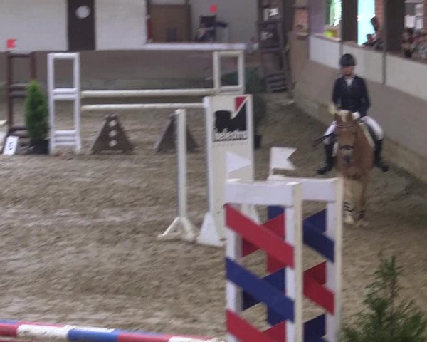 Reitturnier Vlotho-Valdorf 2018