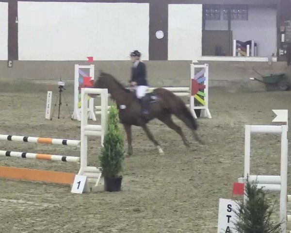 Reitturnier Vlotho-Valdorf 2018