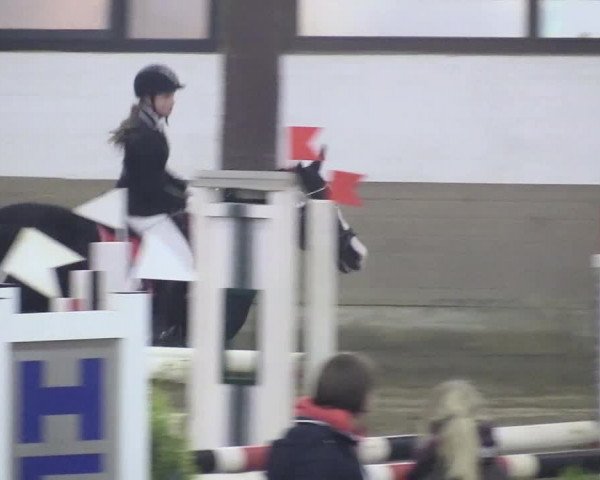 Reitturnier Vlotho-Valdorf 2018