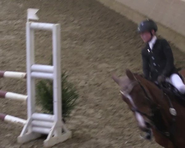 Reitturnier Vlotho-Valdorf 2018