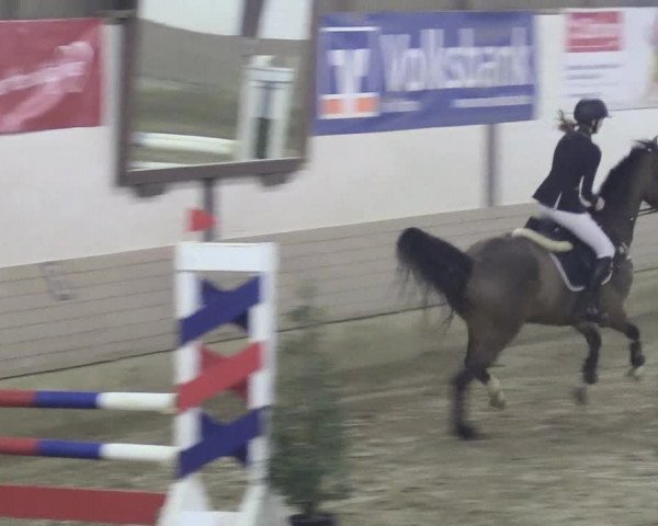 Reitturnier Vlotho-Valdorf 2018