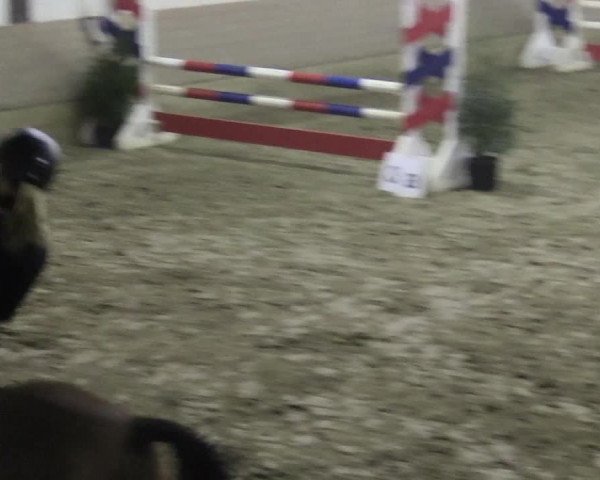 Reitturnier Vlotho-Valdorf 2018