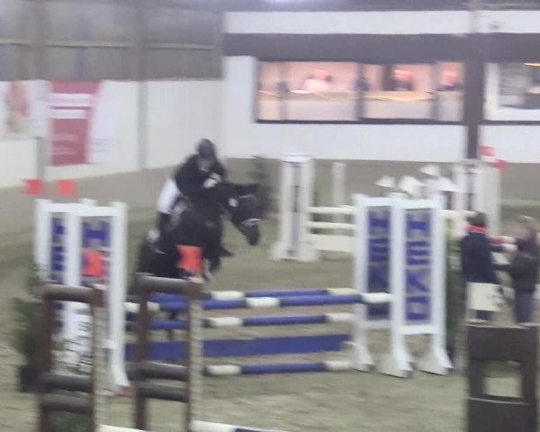 Reitturnier Vlotho-Valdorf 2018