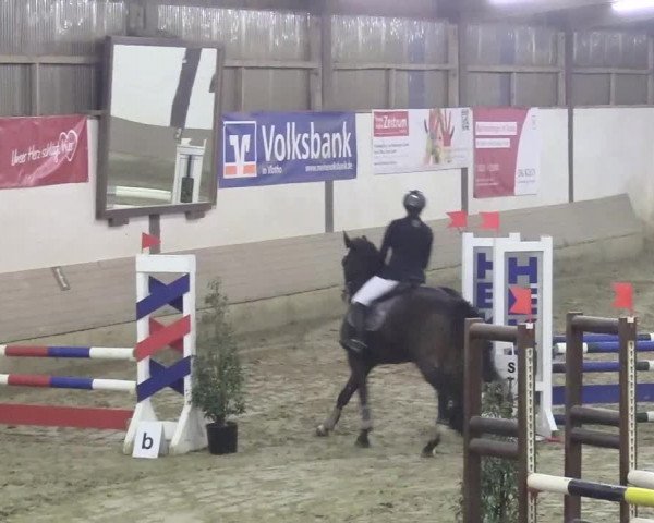 Reitturnier Vlotho-Valdorf 2018