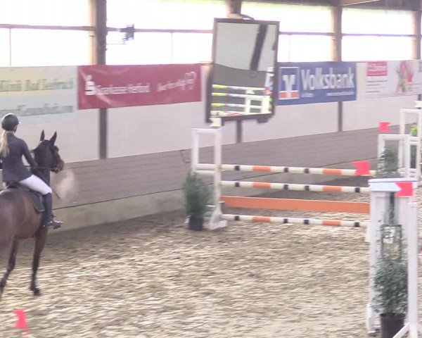 Reitturnier Vlotho-Valdorf 2018
