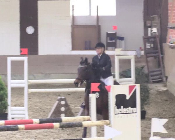 Reitturnier Vlotho-Valdorf 2018