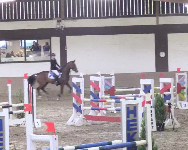 Reitturnier Vlotho-Valdorf 2018
