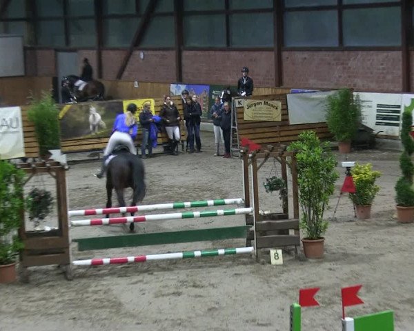 Reitturnier Hamburg-Friedrichshulde 2018