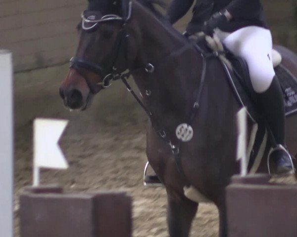 Reitturnier Vlotho-Valdorf 2018