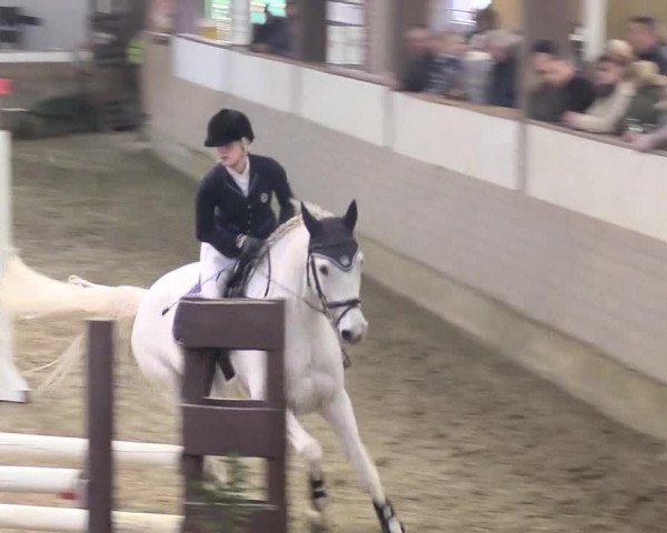 Reitturnier Vlotho-Valdorf 2018