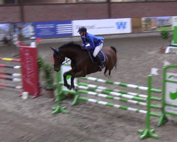Reitturnier Hamburg-Friedrichshulde 2018