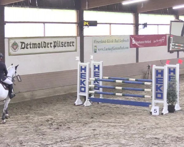 Reitturnier Vlotho-Valdorf 2018