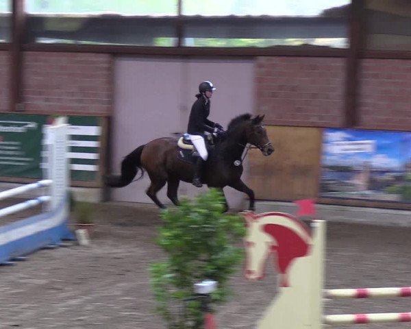 Reitturnier Hamburg-Friedrichshulde 2018