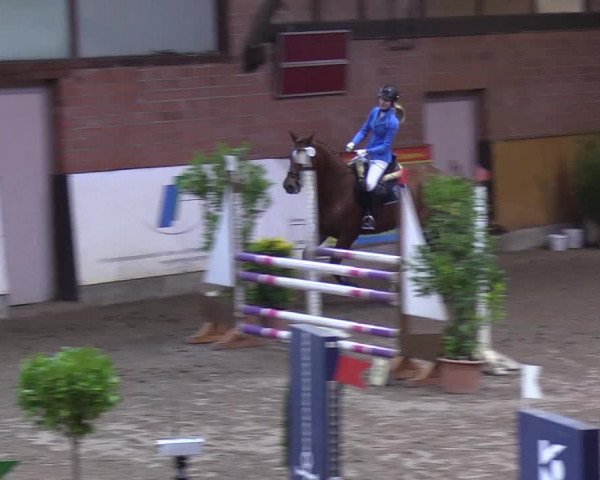 Reitturnier Hamburg-Friedrichshulde 2018