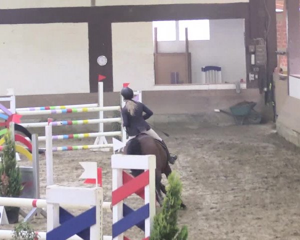 Reitturnier Vlotho-Valdorf 2018