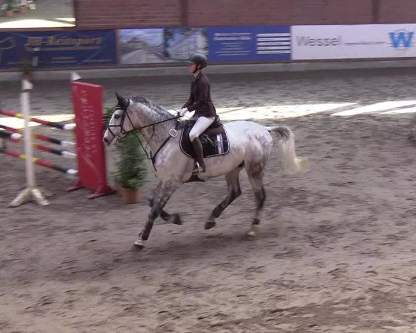 Reitturnier Hamburg-Friedrichshulde 2018