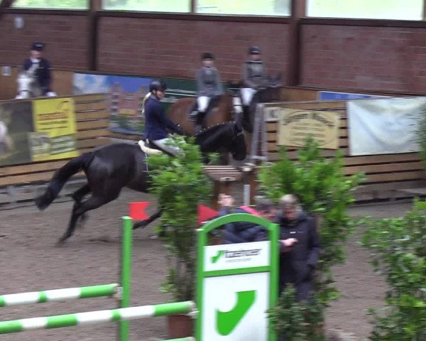 Reitturnier Hamburg-Friedrichshulde 2018