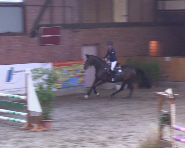 Reitturnier Hamburg-Friedrichshulde 2018