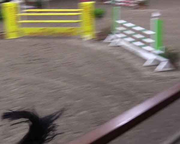 Reitturnier Hamburg-Friedrichshulde 2018