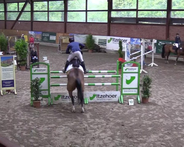 Reitturnier Hamburg-Friedrichshulde 2018