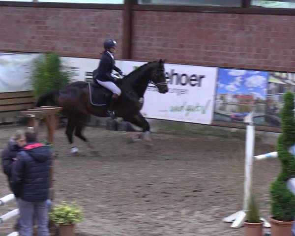Reitturnier Hamburg-Friedrichshulde 2018