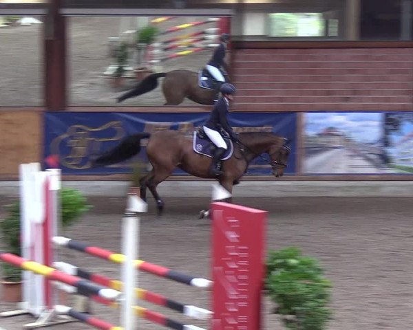 Reitturnier Hamburg-Friedrichshulde 2018