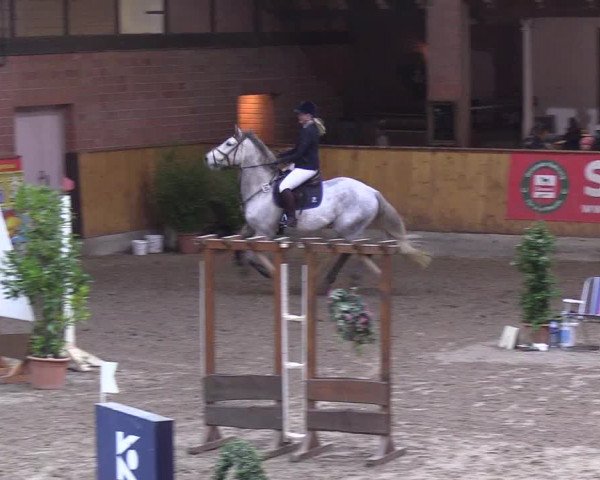 Reitturnier Hamburg-Friedrichshulde 2018