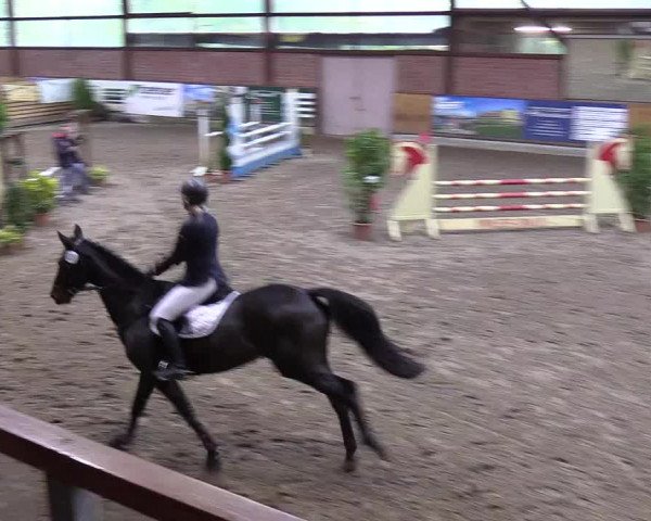 Reitturnier Hamburg-Friedrichshulde 2018