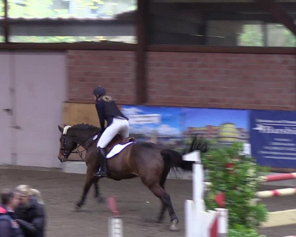 Reitturnier Hamburg-Friedrichshulde 2018