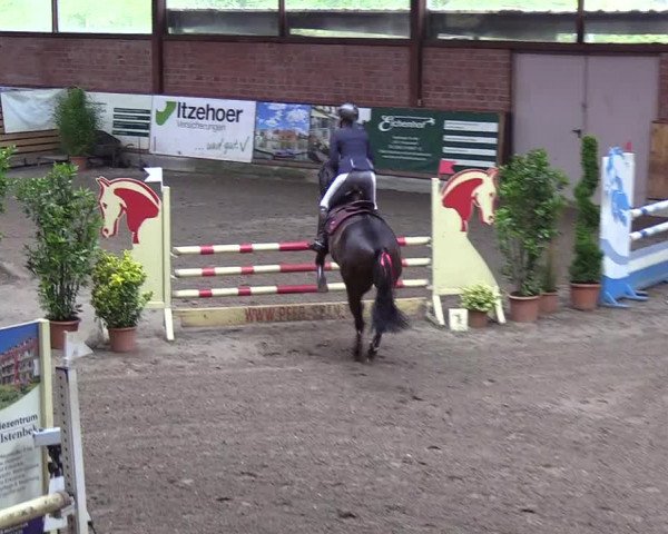 Reitturnier Hamburg-Friedrichshulde 2018