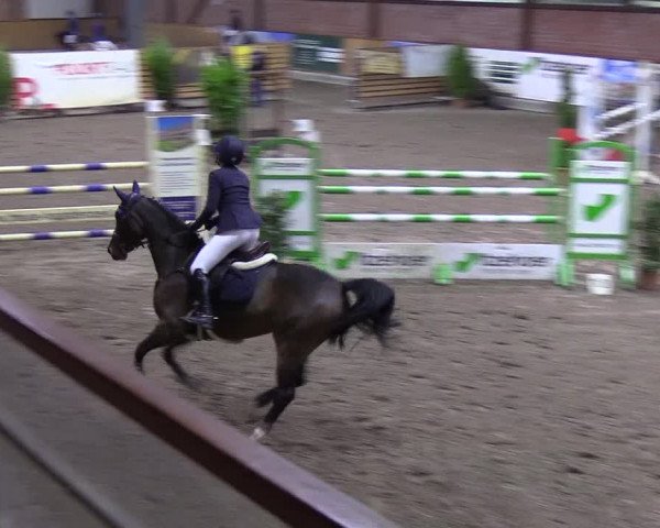 Reitturnier Hamburg-Friedrichshulde 2018