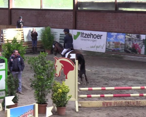 Reitturnier Hamburg-Friedrichshulde 2018