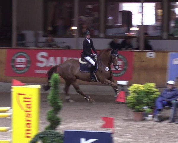 Reitturnier Hamburg-Friedrichshulde 2018