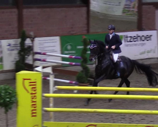 Reitturnier Hamburg-Friedrichshulde 2018