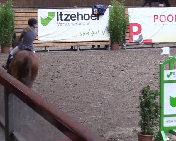 Reitturnier Hamburg-Friedrichshulde 2018