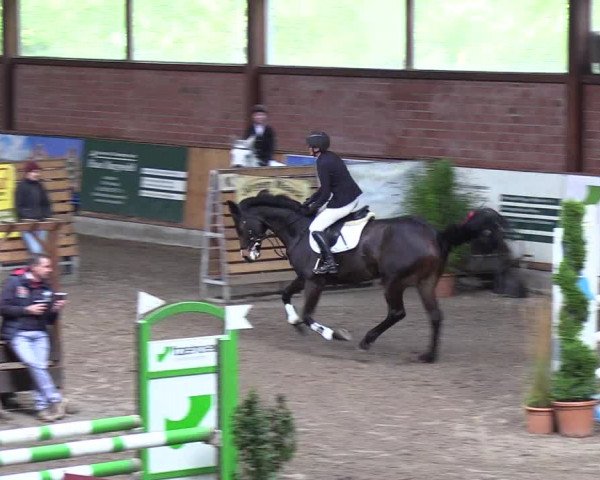 Reitturnier Hamburg-Friedrichshulde 2018