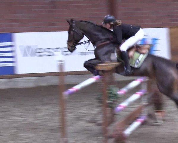 Reitturnier Hamburg-Friedrichshulde 2018