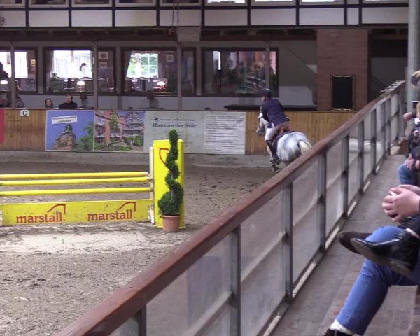 Reitturnier Hamburg-Friedrichshulde 2018