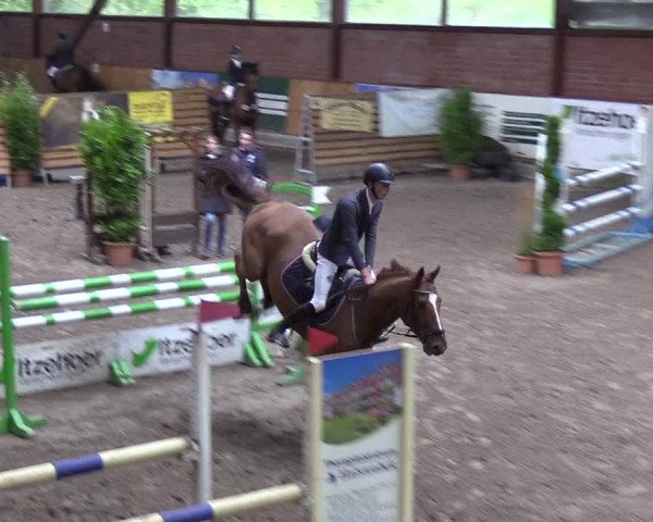 Reitturnier Hamburg-Friedrichshulde 2018