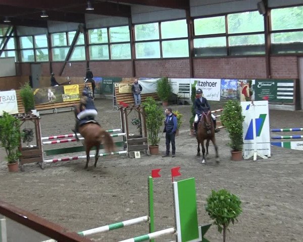Reitturnier Hamburg-Friedrichshulde 2018