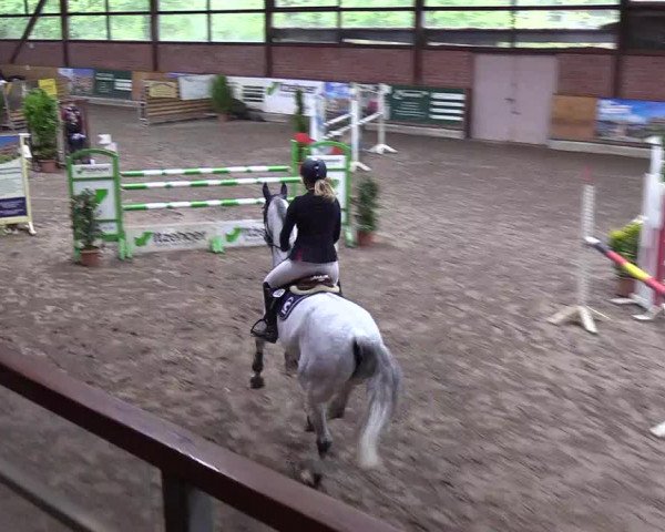 Reitturnier Hamburg-Friedrichshulde 2018