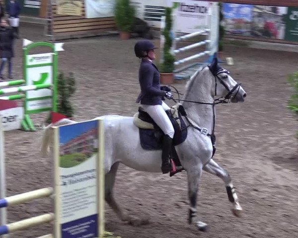 Reitturnier Hamburg-Friedrichshulde 2018