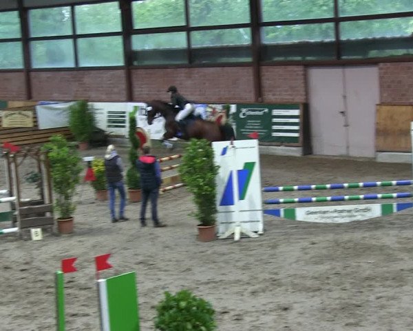 Reitturnier Hamburg-Friedrichshulde 2018