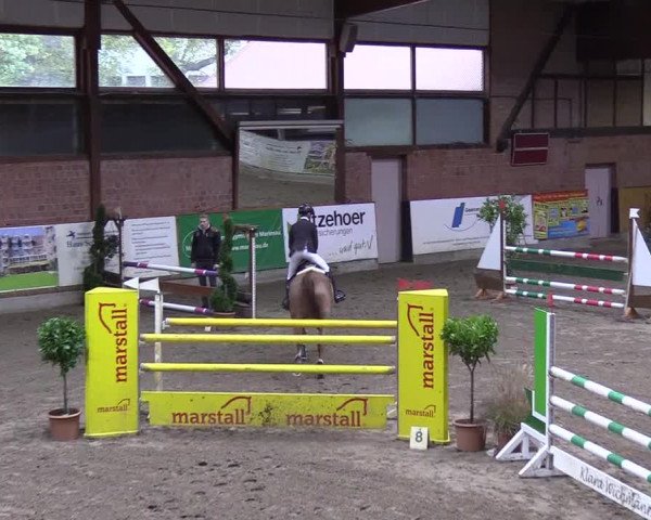 Reitturnier Hamburg-Friedrichshulde 2018
