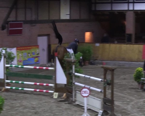 Reitturnier Hamburg-Friedrichshulde 2018