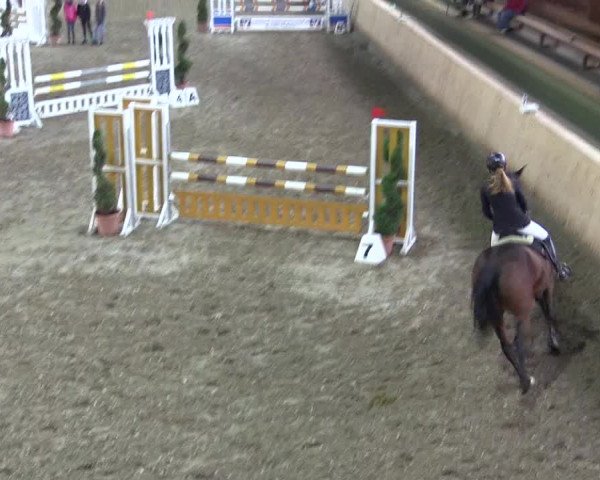 Reitturnier Hövelhof 2018